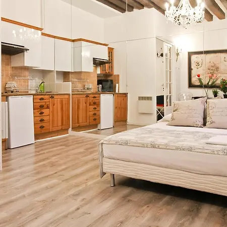Fleur De Lys One Bedroom Apartment Paris